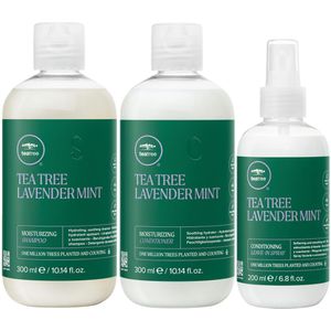 Paul Mitchell Tea Tree Lavender Mint Set