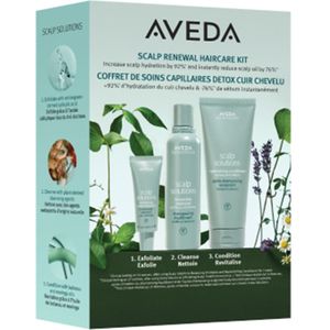 AVEDA Scalp Solutions Scalp Renewal Haircare Kit
