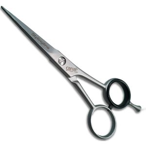Canal Roestvrijstalen haarschaar 13 cm
