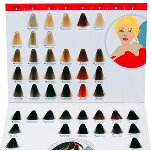 Domino Kleurenkaart Haarkleur