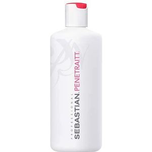 Sebastian Penetraitt Masque 500 ml