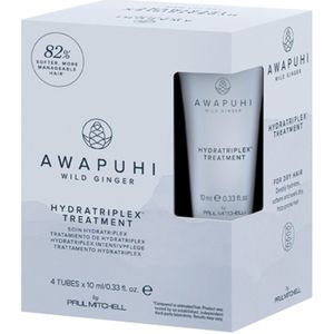 Paul Mitchell Awapuhi Wild Ginger HydraTriplex Treatment