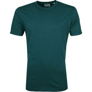 Colorful Standard T-shirt Ocean Groen