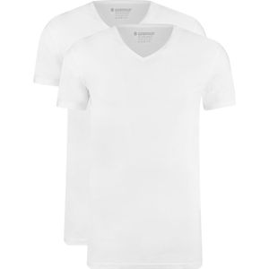 Garage 2-Pack Basic T-shirt Bio V-Neck Wit