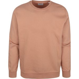 Colorful Standard Sweater Organic Bruin