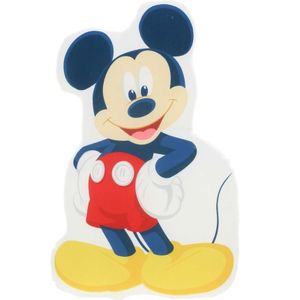 Mickey Kussen Gevormd Velour - 5407007982059