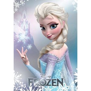 Frozen Disney Poster - 8720618802347