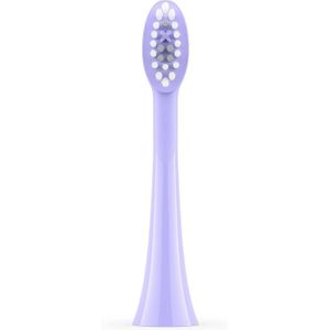 Ordo Sonic+ Brush Heads 2-pack - Pearl Violet