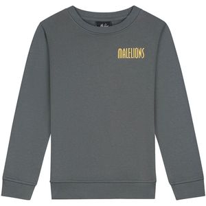 Malelions - Hollywood Map - Hoodie - Donkergrijs - Jongens