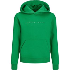 JACK&JONES - JJESTAR JJ SWEAT HOOD NOOS JNR - Jongens - Sweater