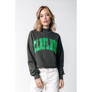 Colourful Rebel - Logo Patch - Sweat - 100% Biologisch Katoen - Regular Fit