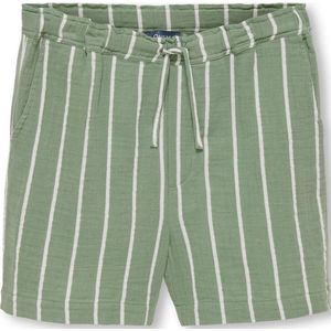 KOBANDREW SHORTS PTM - Desert Sage/CLOUD DANCER