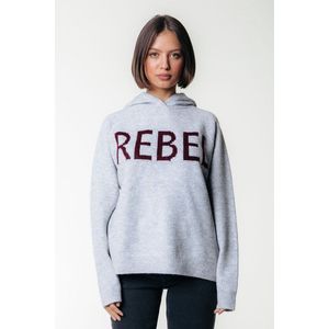 Colourful Rebel - Hoodie Rebel - Grey - Katoenmix