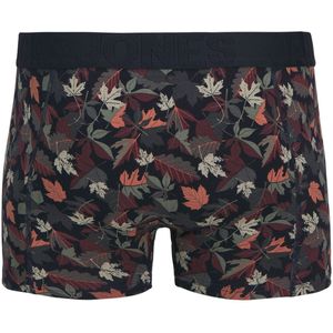 JACCOLLIN TRUNK NOOS