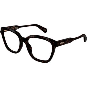 Chloé Vrouw CH0265O 002 Optische monturen Acetaat Havana Transparant Rotonde