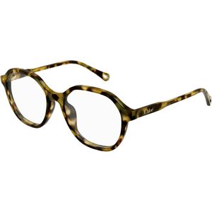 Chloé Vrouw CH0315OA 002 Optische monturen Acetaat Havana Transparant Kwadraat