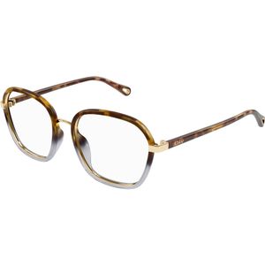 Chloé Vrouw CH0309O 003 Optische monturen Bio-geïnjecteerd Havana Transparant Kwadraat
