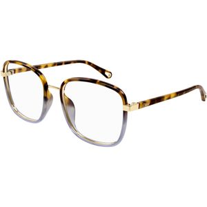 Chloé Vrouw CH0034O 018 Optische monturen Bio-geïnjecteerd Havana Transparant Kwadraat