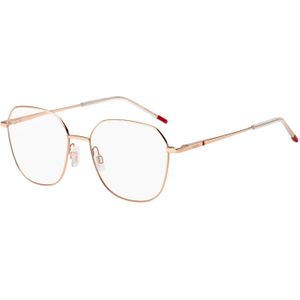 Hugo Boss  Hg 1324 DDB Optische monturen