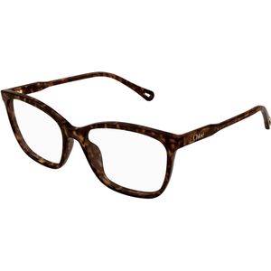 Chloé Vrouw CH0318O 002 Optische monturen Acetaat Havana Transparant Kwadraat