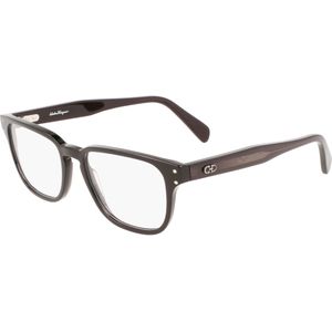 Ferragamo Man SF2924 001 Optische monturen Acetaat Zwart  Hurken Fotochromatisch Fotochromatisch