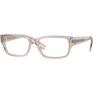 DIESEL Unisex DL4002 2007 Optische monturen Acetaat Grijs Transparant Hurken Normaal