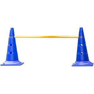De-Tail Agility horde 2 pylonen met springstok 51 x100 cm.