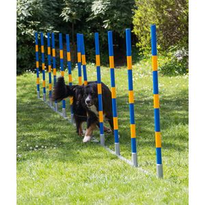 Agility  professionele FCI slalom set 12 delig
