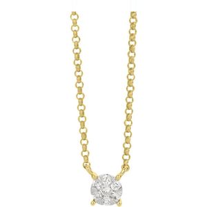 Diamond Point Gouden hanger 0.09 ct diamant Enchanted