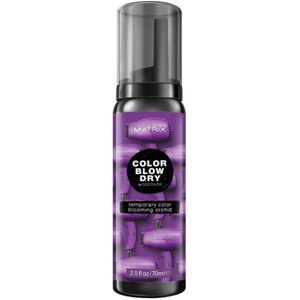 Color Blow Dry - 70ml
