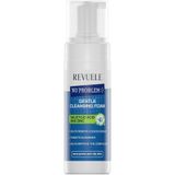 Revuele No Problem Gentle Cleansing Foam Salicylic Acid And Zinc 150 ml