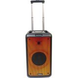 Ibiza - STREET-WAVE - Draagbare Luidspreker - Zwart - Bluetooth - Accu