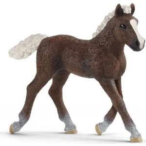 Schleich: Zwartwoud veulen - figuur 13899