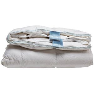 Duvet Doré - Platinum - Dons - 4-seizoenen - dekbed - Lits-jumeaux - 260x220 cm - Wit