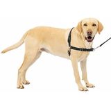 Petsafe Easy Walk hondenservies, inclusief 1,8 m linnen, trekt niet uit, hoog draagcomfort, eenvoudig aan- en uittrekken, groß, zwart