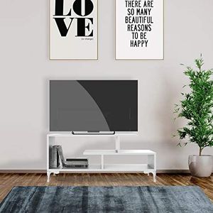 Homemania TV-kast, spaanplaat en kunststof, wit, 120 x 39 x 48,5 cm