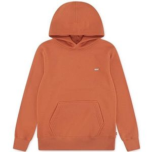 Levi's Kids Mini Batwing Hoodie Hooded Sweatshirt Oranje, Oranje, 6 jaar