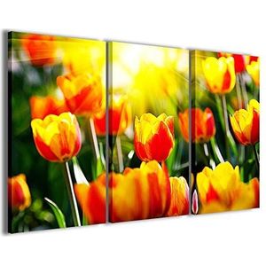 Art prints op canvas, Light Tulips II tulpen, lichte tulpen, moderne schilderijen van 3 panelen, klaar om op te hangen, 100 x 70 cm