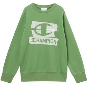 Champion Authentic Athletic Apparel Sweatshirt  groen / wit