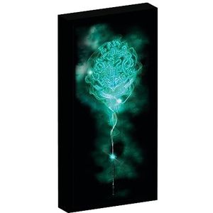 Harry Potter canvas (canvasafbeelding) met 6 ledlampjes om op te hangen en neer te zetten, 20 x 3 x 40 cm