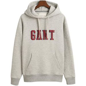 Graphic Sweat Hoodie, gemengd grijs, S