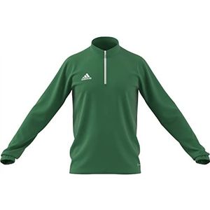 adidas Sweatshirt voor heren, Team Green/white, XL