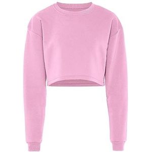 Flyweight Trui met lange mouwen voor dames 100% polyester trui met ronde hals schattig roze maat M, Schattig roze, M