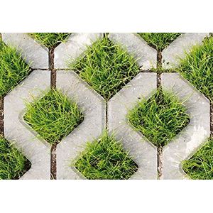 Wizard + Genius 5194-4V-1 fotobehang ""Cobblestone en Grass