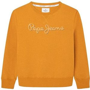 Pepe Jeans Nolan Crew Sweatshirt voor jongens, Geel (Okergeel), 14 jaar