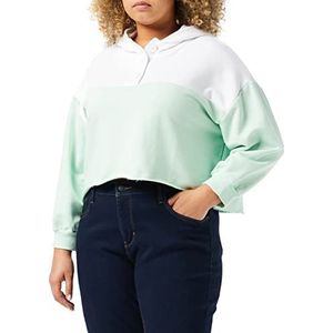LTB Jeans Ziyifo capuchontrui voor dames, White Moonlight Jade Block 12839, XL