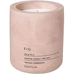 blomus - RAGA- geurkaars L van sojawas, rozenstof, hoogwaardige kamergeur, karakteristieke betonlook, geur FIG, 55 uur brandduur, bijzonder roetarm (H