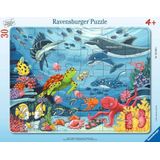 Ravensburger Kinderpuzzel - Down in the sea - framepuzzel van 30-48 stukjes voor kinderen van 4 jaar en ouder