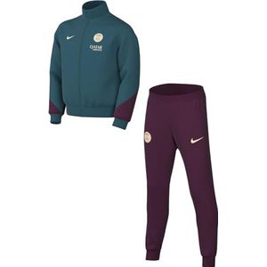 Nike Unisex trainingspak voor baby's Paris Saint-Germain Dri-Fit Strike Trk Suit K, Geode Teal/Bordeaux/Guava Ice, FN9996-382, 12-18