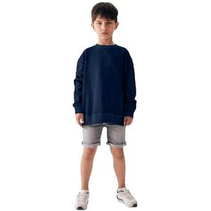 LTB Jeans Tayala Pullover voor jongens, Dress Blues 12985, 116 cm